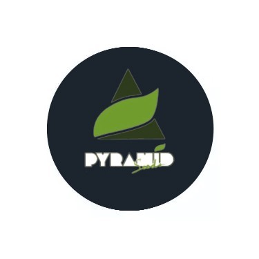 Pyramid Seeds feminisierte Samen Pyramid Seeds feminisierte Samen